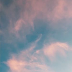 Meet your Posher, Gannon